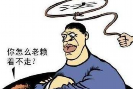 射阳企业清欠服务